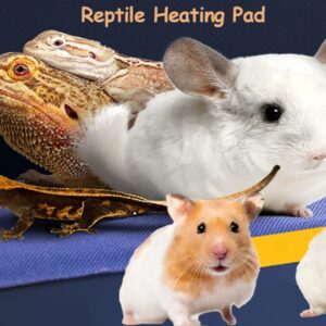 Small Reptile Heating Pad,6x3 inch USB Reptile Heat Pad with 3 Level Adjustable Function USB Heating Pad Pet Dog Heating Pad Terrarium Heat Mat for Lizards,Tortoise,Pets Seedling Small Animals