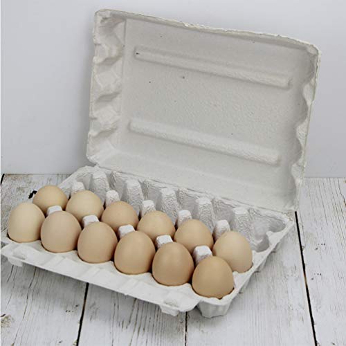 YARDWE Egg Cartons Set| 5 Pcs Cardboard Egg Cartons,- Friendly Recycled Material Biodegradable Reusable Egg Trays with Lids