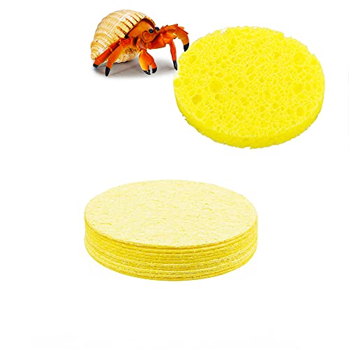 DQITJ 10 Pcs Hermit Crab Sponge, Water Dish Sponge for Pet Hermit Crab Tank Humidity Supplies (Yellow)