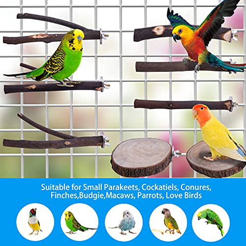 Deloky 8 PCS Natural Wood Bird Perch Stand-Wooden Parrot Perch Stand-Perch Platform Cage Accessories for Parrotlets Budgies Cockatiels Parakeets Lovebirds