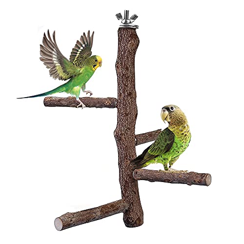 L1HMPET Natural Wood Bird Perch Stand Toy,Parrot Perch Bird Cage Branch Perch Accessories for Parrots, Parakeets Cockatiels, Conures, Macaws, Love Birds, Finches (Bird Perch M: 10" Length)