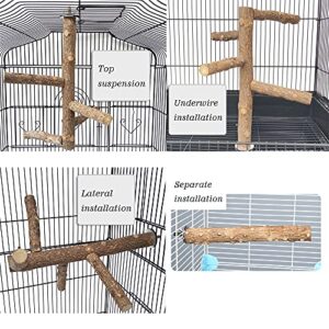 L1HMPET Natural Wood Bird Perch Stand Toy,Parrot Perch Bird Cage Branch Perch Accessories for Parrots, Parakeets Cockatiels, Conures, Macaws, Love Birds, Finches (Bird Perch M: 10" Length)