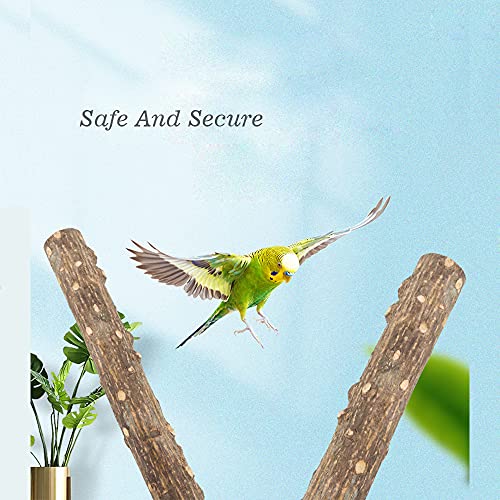 L1HMPET Natural Wood Bird Perch Stand Toy,Parrot Perch Bird Cage Branch Perch Accessories for Parrots, Parakeets Cockatiels, Conures, Macaws, Love Birds, Finches (Bird Perch M: 10" Length)