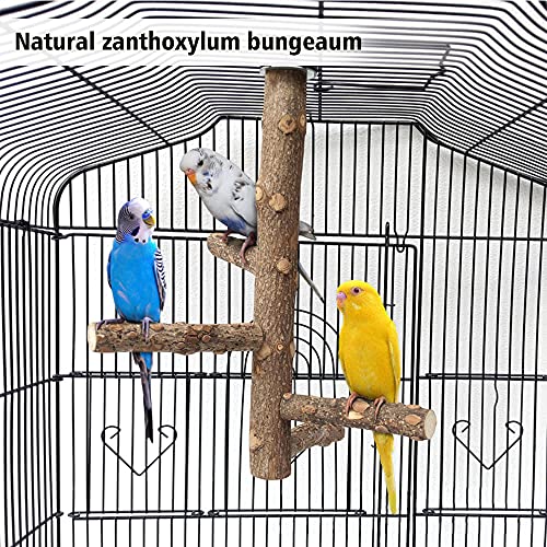 L1HMPET Natural Wood Bird Perch Stand Toy,Parrot Perch Bird Cage Branch Perch Accessories for Parrots, Parakeets Cockatiels, Conures, Macaws, Love Birds, Finches (Bird Perch M: 10" Length)