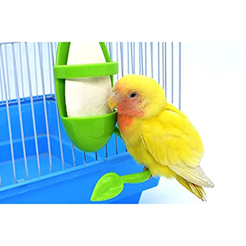 Plastic Bird Feeding Holder for Birdcage Parrots Feeder Basket Bird Supplies Fruit Vegetable Cuttlebone Container 4 Pieces, Green