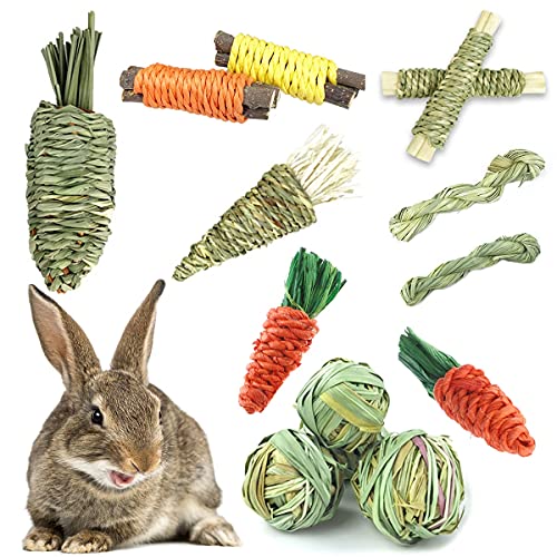 CooShou 13Pcs Rabbit Chew Toys for Small Animals - Bunny Natural Hay Activity Balls Rabbit Apple Sticks Sweet Bamboo Timothy Hay Sticks Grass Carrots for Hamster Guinea Pig Dental Health