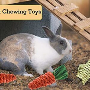 CooShou 13Pcs Rabbit Chew Toys for Small Animals - Bunny Natural Hay Activity Balls Rabbit Apple Sticks Sweet Bamboo Timothy Hay Sticks Grass Carrots for Hamster Guinea Pig Dental Health