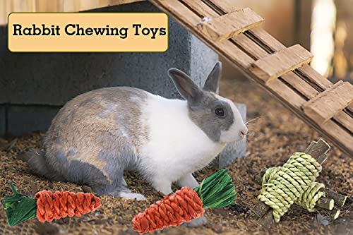 CooShou 13Pcs Rabbit Chew Toys for Small Animals - Bunny Natural Hay Activity Balls Rabbit Apple Sticks Sweet Bamboo Timothy Hay Sticks Grass Carrots for Hamster Guinea Pig Dental Health