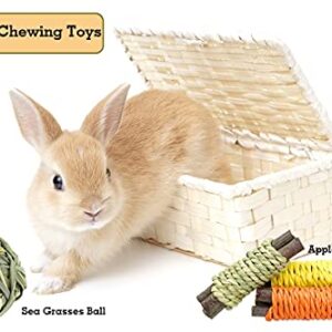 CooShou 13Pcs Rabbit Chew Toys for Small Animals - Bunny Natural Hay Activity Balls Rabbit Apple Sticks Sweet Bamboo Timothy Hay Sticks Grass Carrots for Hamster Guinea Pig Dental Health