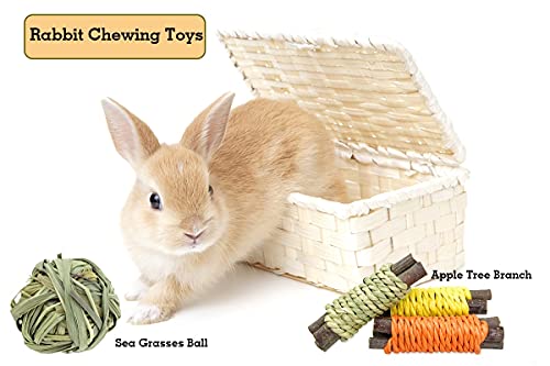 CooShou 13Pcs Rabbit Chew Toys for Small Animals - Bunny Natural Hay Activity Balls Rabbit Apple Sticks Sweet Bamboo Timothy Hay Sticks Grass Carrots for Hamster Guinea Pig Dental Health