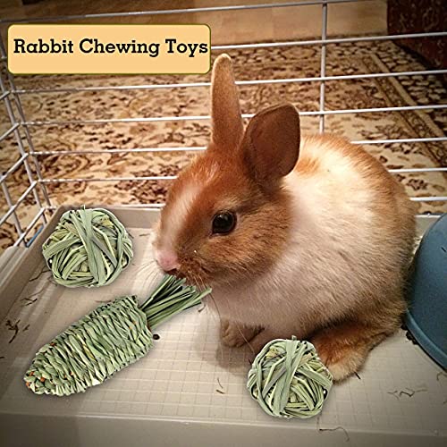 CooShou 13Pcs Rabbit Chew Toys for Small Animals - Bunny Natural Hay Activity Balls Rabbit Apple Sticks Sweet Bamboo Timothy Hay Sticks Grass Carrots for Hamster Guinea Pig Dental Health