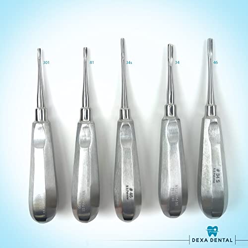 DEXA DENTAL Elevators Instruments Osteotome Periotome Luxating Elevator Apical Molt Oral Implant, Surgical Root Extraction Spreading - 5 Pcs