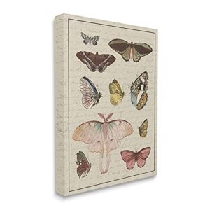 stupell industries vintage moth and butterfly wing study over script, designed by daphne polselli canvas wall art, 24 x 30, multi-color