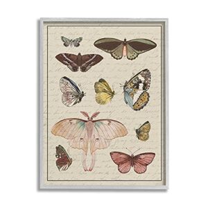 stupell industries vintage moth and butterfly wing study over script, designed by daphne polselli gray framed wall art, 16 x 20, multi-color