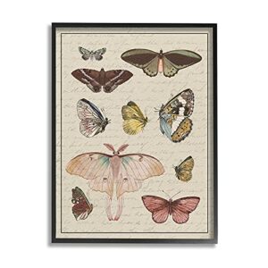 stupell industries vintage moth and butterfly wing study over script, designed by daphne polselli black framed wall art, 11 x 14, multi-color