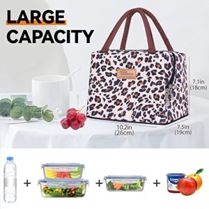 HOMESPON Lunch Bag Insulated Tote Bag Lunch Box Resuable Cooler Bag Lunch Container Waterproof Lunch Holder for Women/Men