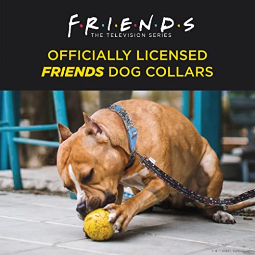 Friends the TV Show Iconic Graphics Dog Collar for Medium Dogs, Medium (M) | Black Medium Dog Collar, Cute Dog Collar with D-Ring | Dog Apparel & Accessories Friends Merch for Dogs from Friends