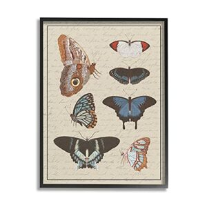 stupell industries butterfly and moth study vintage cursive script, designed by daphne polselli black framed wall art, 24 x 30, multi-color
