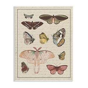 stupell industries vintage moth and butterfly wing study over script, designed by daphne polselli wall plaque, 10 x 15, multi-color