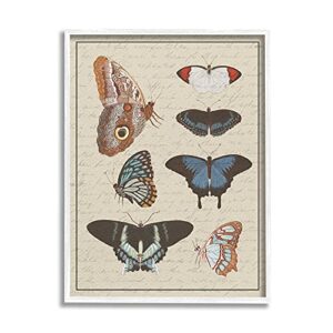 stupell industries butterfly and moth study vintage cursive script, designed by daphne polselli white framed wall art, 16 x 20, multi-color