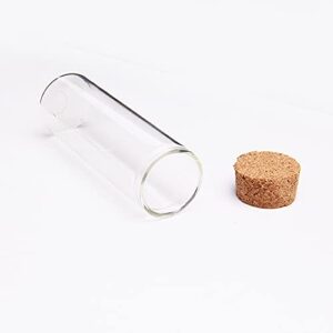 10PCS 60ml/2oz Empty Clear Glass Test Tubes Reagent Bottle with Cork Stoppers for Foods Cosmetic Candy Tea Powder Liquid Dispenser