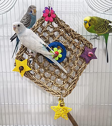 通用 XH Bird Parrot Toys,Bird Foraging Wall Toy with Hanging Hook, Seagrass Woven Mat with Colorful Wooden Blocks,Suitable for Lovebirds, Budgerigars, Conure, Cockatiel