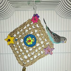 通用 XH Bird Parrot Toys,Bird Foraging Wall Toy with Hanging Hook, Seagrass Woven Mat with Colorful Wooden Blocks,Suitable for Lovebirds, Budgerigars, Conure, Cockatiel