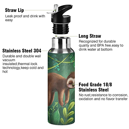 xigua Sloth Water Bottle with Straw Lid Vacuum Insulated Stainless Steel Thermo Flask for Sports Cycling Hiking School Home,20 oz.