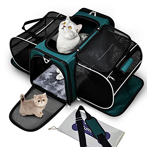 AutumnStory Cat Carrier, Pet Carrier Airline Approved, 2 Sides Expandable Dog Carrier, Soft-Sided Collapsible Dog Travel Bag with Removable Fleece Pad for Cats, Puppy and Small Animals (Green)