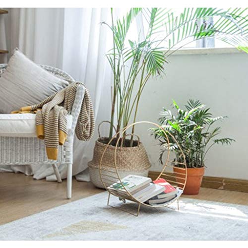 LiLi_Shop Magazine Newspaper Baskets Magazine Rack Newspaper Magazine Storage Rack Simple Bookshelf Rack Modern Floor Simple Art Magazine Rack (Color : Gold, Size : 584833cm)