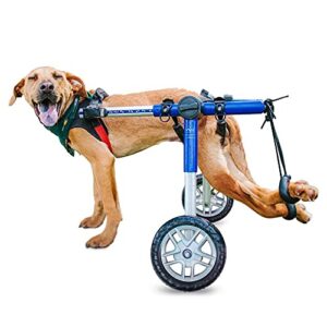 walkin’ wheels custom dog wheelchair for medium dogs | veterinarian approved | dog wheelchair for back legs | choose from 3 custom colors: blue, pink, and camo