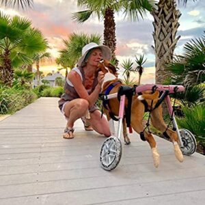 Walkin’ Wheels Custom Dog Wheelchair for Medium Dogs | Veterinarian Approved | Dog Wheelchair for Back Legs | Choose from 3 Custom Colors: Blue, Pink, and Camo