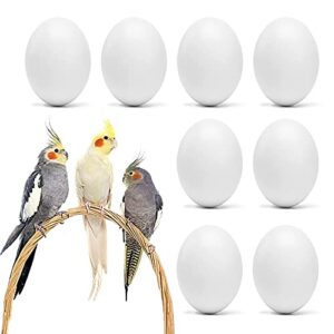woledoe 8pcs fake bird eggs, stop egg laying fit cockatiels, green cheeks, lovebird, ringneck dove, lorikeet, bourke parakeet, quaker parrots
