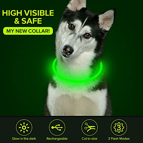 Colaseeme LED Dog Collar Light Up Dog Collars 1 Count USB Rechargeable TPU Glow Safety Basic Dog Collars for Large Medium Small Dogs (Green)