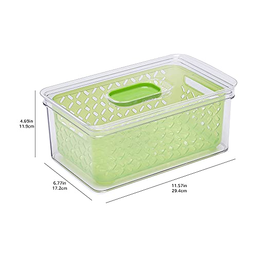 Amazon Basics Set of 3 Produce Food Saving Containers with Vented Lids, BPA Free Plastic - 2 Large (4.3 Qt), 1 Medium (1.9 Qt)