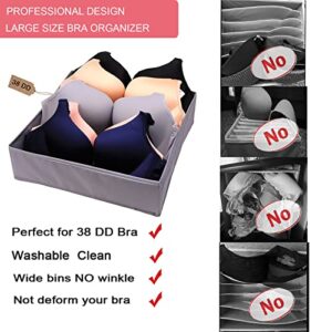 Jay-Chi Bra Underwear Organizers Dresser Drawers - Large Foldable Closet Underwear Organizers Dividers Washable Fabric Storage Box for Bra 2 Set Grey