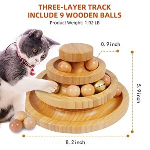 DoogCat Cat Ball Track,Cat Ball Toy,Kitty Toys Roller,3-Level Cat Ball Tower with 9 Removable Balls,Interactive Cat Toy,Circle Track DIY Fun Toy for Kitten Mental Physical Exercise