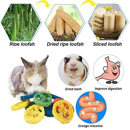 Kunze Land Rabbit Toys, Natural Organic Apple Wood Sticks with Timothy Hay Balls Grass Cakes Loofah Rabbit Chew Toys, 10 Pcs Teeth Care Guinea Pig Toys 001