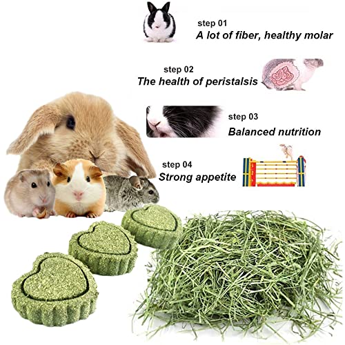 Kunze Land Rabbit Toys, Natural Organic Apple Wood Sticks with Timothy Hay Balls Grass Cakes Loofah Rabbit Chew Toys, 10 Pcs Teeth Care Guinea Pig Toys 001