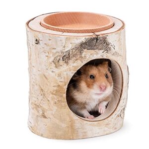 niteangel hamster hideout tree trunk tunnel for dwarf syrian hamsters gerbils and small animals (tunnel hideout w/bowl)