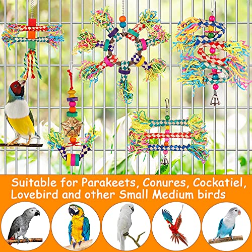 Bird Toys, 5PCS Colorful Bird Shredding Toys Hanging Parakeet Chew Toys, Bird Foraging Toys for Small Medium Parrots, Conures, Cockatiel, Lovebird Cockatiel, and Cage Accessory