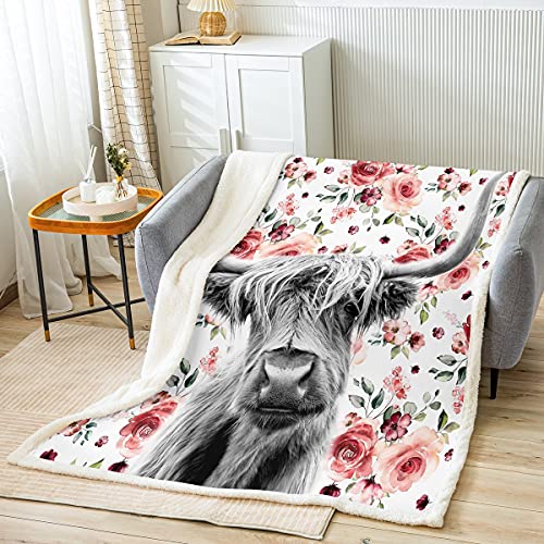 Highland Cow Fleece Blanket Bull Cattle Throw Blanket Lightweight Super Soft Cozy Luxury Bed Blanket Microfiber Farmhouse Theme Cow Blanket for Sofa Bedroom Office Travel All Season(Twin 60"x80")