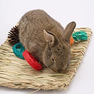 PStarDMoon Bunny Grass Mat with Small Animal Chew Toys Woven Bed Mat for Small Animals Rabbit Bedding Nest Chew Toy Bed Play Toy for Rabbits Chinchilla Hamsters Guinea Pigs Gerbils Groundhog…