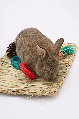 PStarDMoon Bunny Grass Mat with Small Animal Chew Toys Woven Bed Mat for Small Animals Rabbit Bedding Nest Chew Toy Bed Play Toy for Rabbits Chinchilla Hamsters Guinea Pigs Gerbils Groundhog…