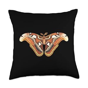beautiful butterflies insect lovers entomology atlas moth butterfly insect illustration for men & women throw pillow, 18x18, multicolor