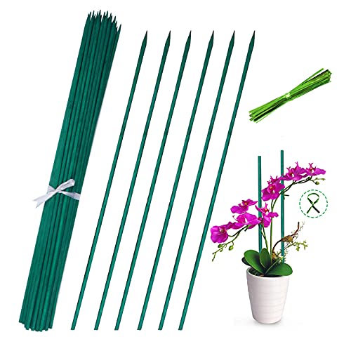 BLUE TOP Green Bamboo Plant Stakes Garden Stakes 15.8 Inch 25 PCS,Wood Stakes for Vegetables/Floral,Bamboo Plant Support for Indoor &Outdoor Plants with 100 Garden Ties, Sign Posting Garden Sticks