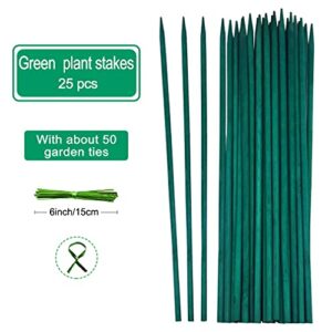 BLUE TOP Green Bamboo Plant Stakes Garden Stakes 15.8 Inch 25 PCS,Wood Stakes for Vegetables/Floral,Bamboo Plant Support for Indoor &Outdoor Plants with 100 Garden Ties, Sign Posting Garden Sticks