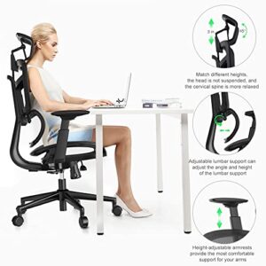 Ergonomic Office Chair, High Back Mesh Desk Chair with Liftable Backrest Armrest, 3D Adjustable Lumbar Support Headrest Computer Executive Chair