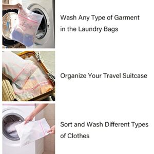 Casaphoria Bra Laundry Bags for Washing Machine,Large Travel Lingerie Laundry Bags for Dirty Clothes for Suitcase,Underwear Mesh Wash Bags for Delicates(5Pcs,Easy to Distinguish)