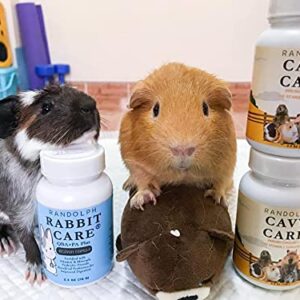 RANDOLPH Cavy Food Care 70 g. IMMUNOSTIMULANTS & Vitamin C Supplement Recovery & Booster Energy for Guinea Pig & Herbivores Small Pet, Probiotics Improved Digestion Best Prevent Healthy Rabbit Feed